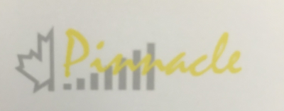 Pinnacle logo