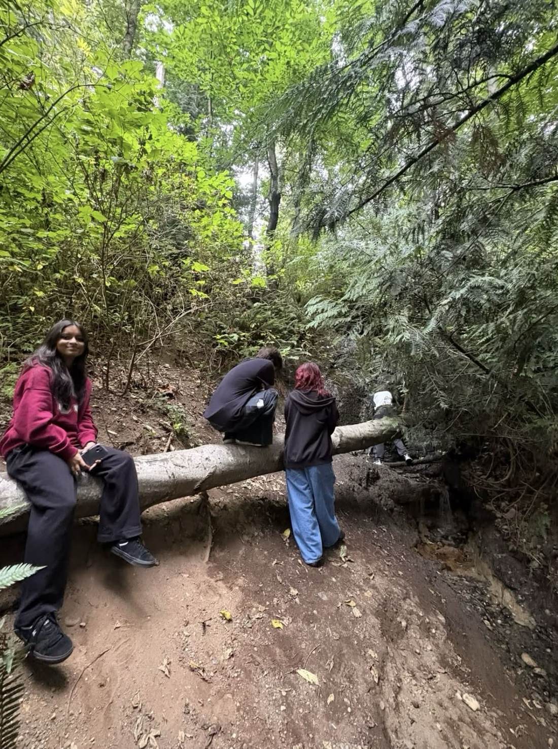 Walkathon participants sitting and gathered on a fallen log along a forest trail