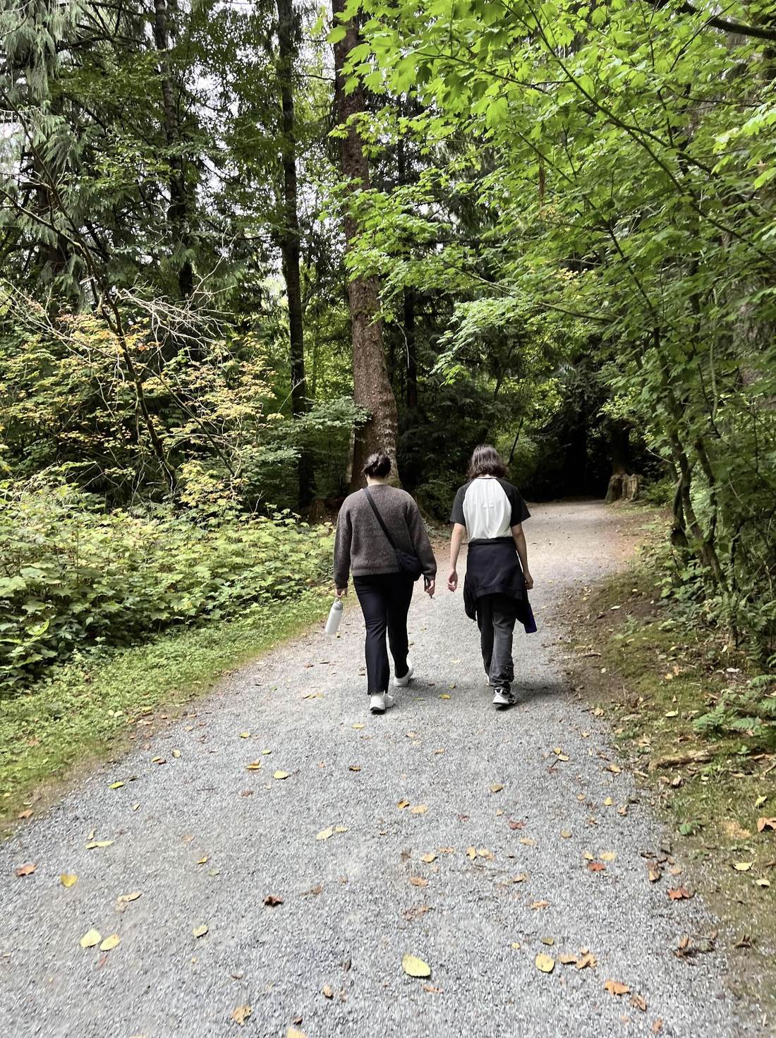Two walkers heading down the trail together